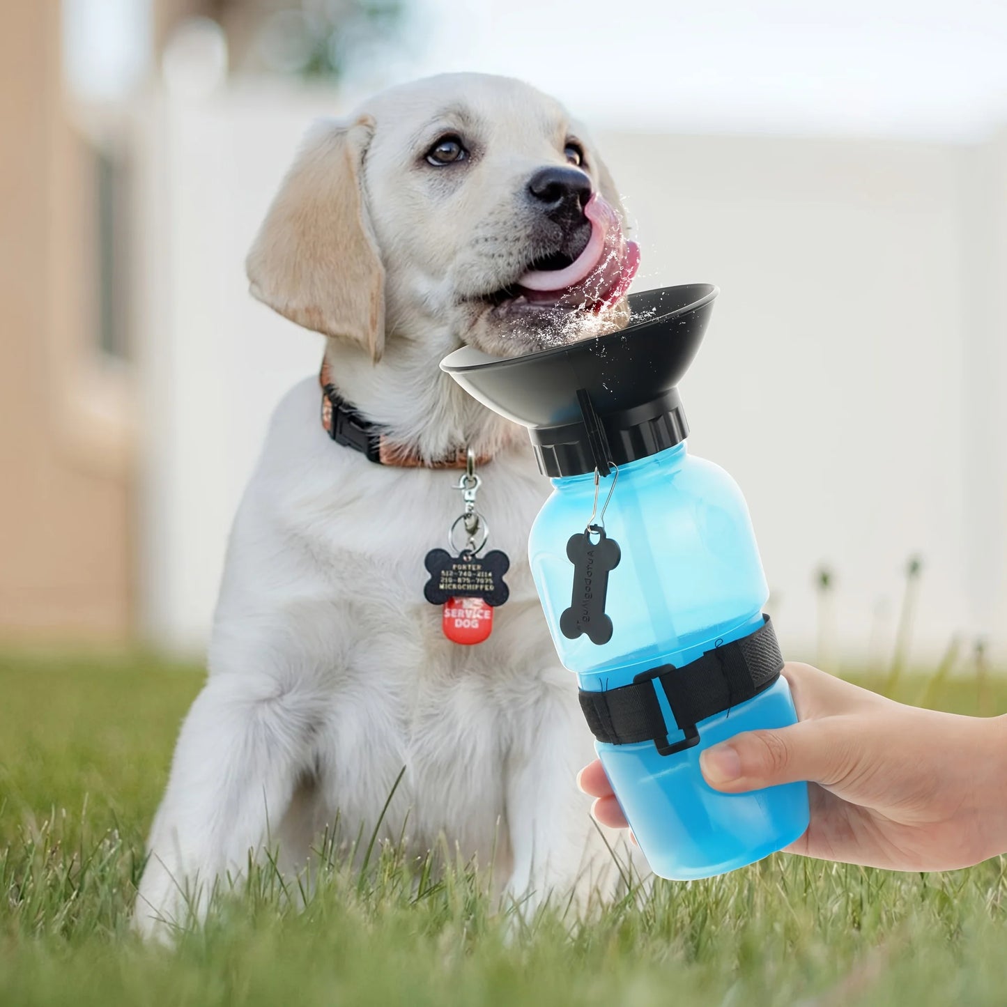 ChillHuaHua Portable Travel Water Bottle Dispenser For Dogs